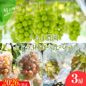 No.2504くるま農園　シャインマスカットとぶどう2種（全3房）【2026年発送】