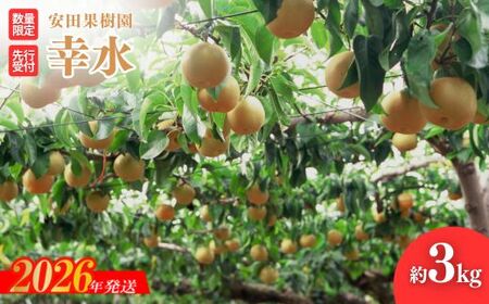 No.2607梨 幸水 約3kg[2026年発送]