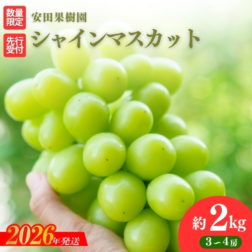 No.2613ぶどう　シャインマスカット約2kg【2026年発送】