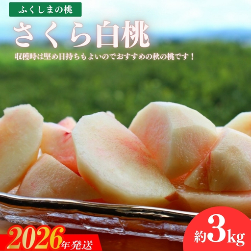 No.2640福島の桃「さくら白桃」約3kg【2026年発送】