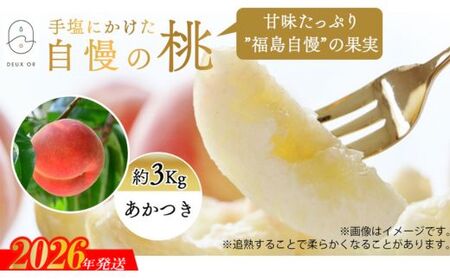 No.2668�����u�������v��3kg�y2026�N�����z