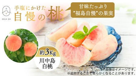 No.2670もも「川中島白桃」約3kg【2025年発送】
