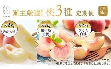 No.2674園主厳選！もも3種定期便　各約2kg【2026年発送】