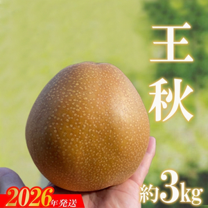 No.2735旬の特選梨 王秋 約3kg[2026年発送]