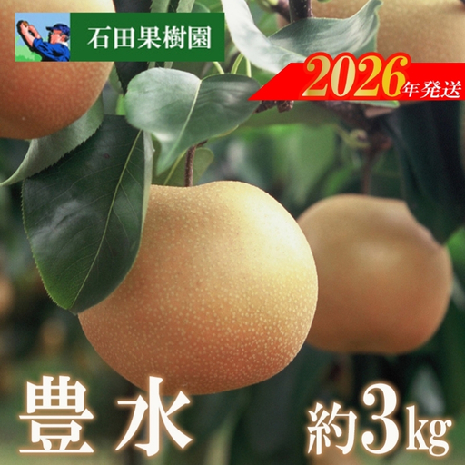 No.2737梨　豊水　3kg【2026年発送】