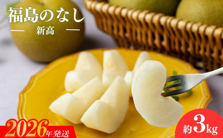 No.2738梨 新高 3kg[2026年発送]