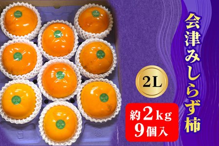 会津身しらず柿2L (9個入り) 約2kg 果樹園 壱心産|会津若松 果物 フルーツ 柿 身知らず みしらず かき カキ 会津身不知柿 令和6年 2024年 旬 [0828]