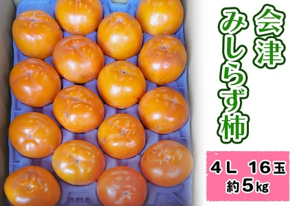 Â݂炸` 4LTCY16 (5kg) ÎᏼsRY R`_b2025NY ߘa7NY ݂炸` g炸` 햳 `  JL t[c ʕ {̉ʕ Y ÎY ʌ [1027]