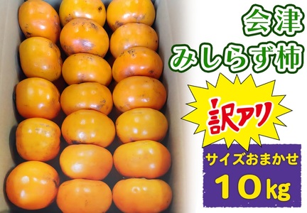 Â݂炸` ƒp^󂠂 TCY܂ 10kg ÎᏼsR R`_b2025NY ߘa7NY ݂炸` g炸` 햳 `  JL t[c ʕ Y ÎY ʌ 󂠂