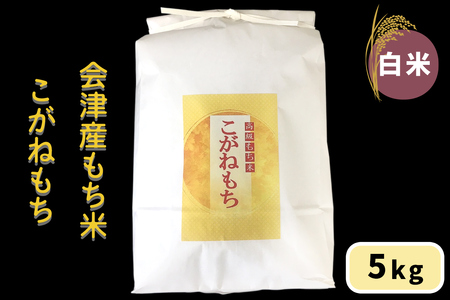 会津産もち米「こがねもち」[白米]5kg|令和7年産 2025年産 会津若松市 もちごめ 餅米 米 新米 [1038]