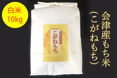 会津産もち米 (こがねもち) 白米10kg|令和5年産 会津若松市 もちごめ ごはん [0280]