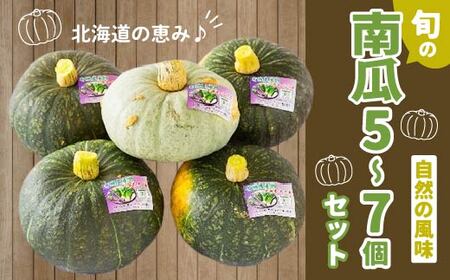 [JAS認定有機野菜]旬の南瓜5〜7個セット [ ふるさと納税 人気 おすすめ ランキング 旬 かぼちゃ 南瓜 カボチャ 旬のかぼちゃ パンプキン 野菜 セット JAS認定 有機野菜 有機栽培 無農薬 クリリン 雪化粧 煮つけ 塩煮 天ぷら グラタン スープ グリル おいしい ほくほく 甘い 健康 ヘルシー 北海道 北斗市 送料無料 ] HOKB005 