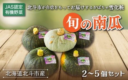 [JAS認定有機野菜]旬の南瓜2〜5個セット [ ふるさと納税 人気 おすすめ ランキング 旬 かぼちゃ 南瓜 カボチャ 新鮮 鮮度抜群 野菜 ベジタブル おいしい 健康 北海道 北斗市 送料無料 ] HOKB016 | カボチャ