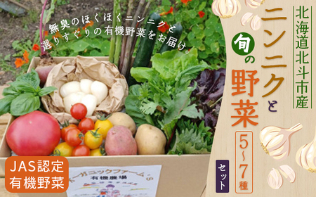 [JAS認定有機野菜]北斗市産 ニンニクと野菜5〜7種類野菜セット 紙箱入(季節で種類が変更) [ ふるさと納税 人気 おすすめ ランキング ニンニク にんにく 国産ニンニク 野菜 旬 セット 有機野菜 無農薬 有機栽培 紫アスパラ 紫からし菜 からし菜 南瓜 かぼちゃ サニーレタス ルッコラ レッドオーク レッドロメイン グリーンオーク グリーンロメイン 玉レタス 根野菜 葉物野菜 新鮮 鮮度抜群 ベジタブル アラカルト 盛り合わせ 詰め合わせ 北海道 北斗市 送料無料 ] HOKB022 