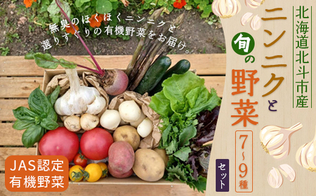 [JAS認定有機野菜]北斗市産 ニンニクと野菜7〜9種類野菜セット 紙箱入(季節で種類が変更) [ ふるさと納税 人気 おすすめ ランキング ニンニク にんにく 国産ニンニク 野菜 旬 セット 有機野菜 無農薬 有機栽培 紫アスパラ 紫からし菜 からし菜 サニーレタス ルッコラ レッドオーク レッドロメイン グリーンオーク グリーンロメイン 玉レタス 根野菜 葉物野菜 新鮮 鮮度抜群 ベジタブル アラカルト 盛り合わせ 詰め合わせ 北海道 北斗市 送料無料 ] HOKB023 