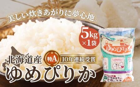 yߘa6NYzkCY ߂҂肩5kg HOKK003