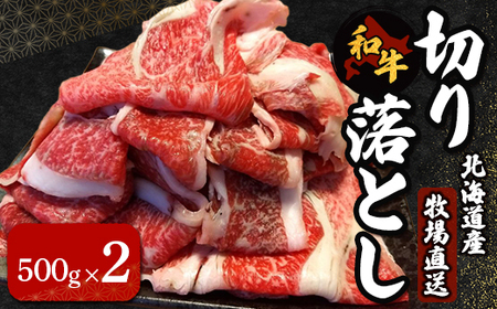 kCY@q꒼@a؂藎Ƃ@500g×2 y ӂ邳Ɣ[ lC  LO     a ؂藎Ƃ   o ΂  Ef kC kls  z HOKQ003