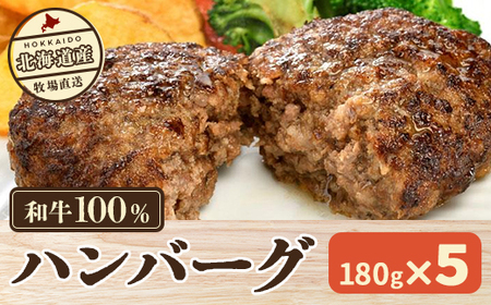 北海道産 牧場直送 和牛100% ハンバーグ 180g×5 [ ふるさと納税 人気 おすすめ ランキング 牛 牛肉 黒毛 肉 和牛 和牛100% ハンバーグ 和牛ハンバーグ 北海道 北斗市 送料無料 ]