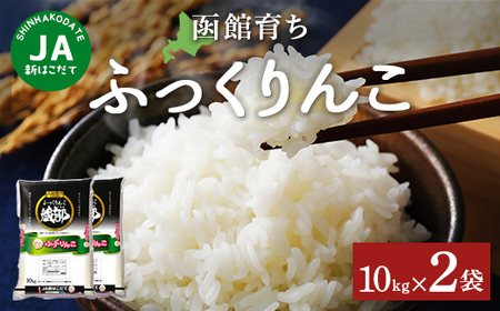 JAV͂Ĕو炿ӂ10×2 HOKV002  | OHdHYabYfB[X̑I^I|