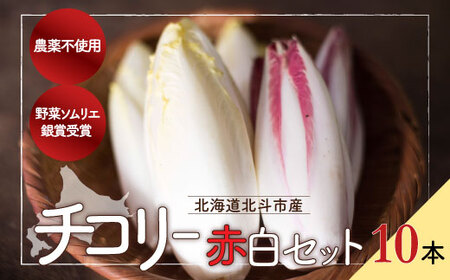 チコリー | チコリー赤白セット