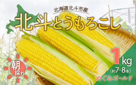 【先行受付】北斗とうもろこし 【 ふるさと納税 人気 おすすめ ランキング とうもろこし トウモロコシ とうきび トウキビ コーン 恵ゴールド 甘い 焼きトウモロコシ 焼き 北海道 北斗市 送料無料 】 HOKY003