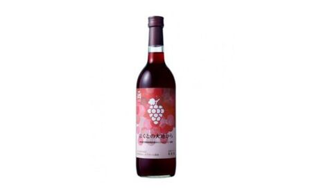 赤ワイン「ほくとの大地から」キャンベルアーリー720ml [ ふるさと納税 人気 おすすめ ランキング ワイン 赤ワイン ライト 720ml キャンベルアーリー 葡萄 ぶどう 果実酒 お酒 ギフト 贈答 贈り物 プレゼント お祝い 北海道 北斗市 送料無料 ]