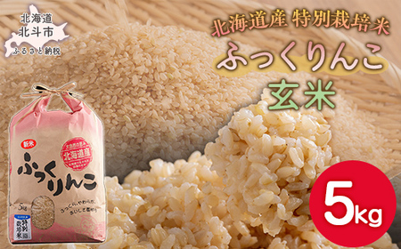 [令和7年産米]ふっくりんこ5kg(玄米)