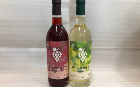 ほくとの大地から キャンベル・アーリー赤とナイアガラ白のセット 各720ml [ ふるさと納税 人気 おすすめ ランキング ワイン 赤ワイン 白ワイン ライト 720ml 葡萄 ぶどう キャンベルアーリー 果実酒 お酒 セット 詰合せ ギフト 贈答 贈り物 プレゼント お祝い 北海道 北斗市 送料無料 ]