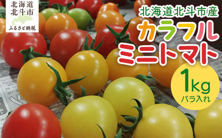 【2026年6月以降発送】北海道北斗市産カラフルミニトマト HOKAU002