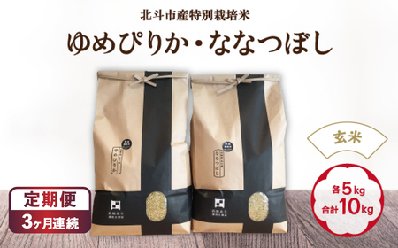 �y����ցz�y�ߘa7�N�Y�z�y���āz�k�l�s�Y���ʍ͔|�Ă�߂҂肩�E�ȂȂڂ� �e5kg(���v10kg)�Z�b�g ×3�� HOKH009