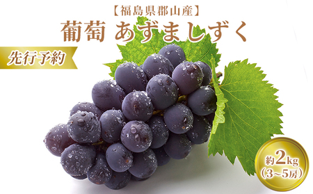 [先行予約][福島県郡山産]葡萄 あずましずく 約2kg(3〜5房)