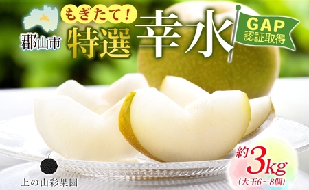 特選 幸水 約3kg 大玉 6〜8個 なし 梨 ナシ もぎたて 甘い 旬 果物 GAP 認証 産地直送 贈り物 贈答用 送料無料 上の山 彩果園 福島県 郡山市