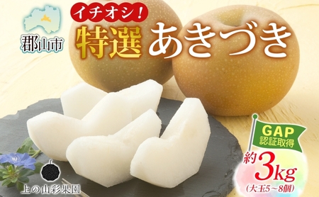 特選 あきづき 約3kg 大玉 5〜8個 なし 梨 ナシ もぎたて 甘い 旬 果物 GAP 認証 産地直送 贈り物 贈答用 送料無料 上の山 彩果園 福島県 郡山市