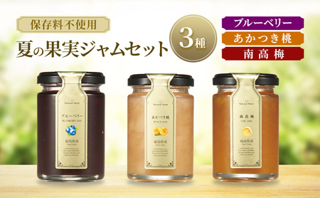 ジャム 夏の果実ジャムセット 3種( ブルーベリー 桃 梅 ) 保存料不使用 プレザーブスタイル あかつき もも 南高梅 うめ セット