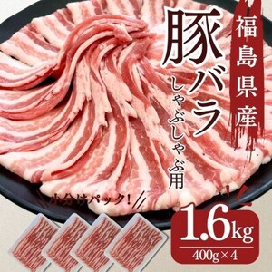 ؓ o Ԃ 1.6kg Y ؂藎Ƃ  ϕ Ⴊ ē  蕨  ٓ  Hi Ⓚ  SRs یˎY