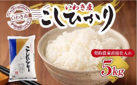 �y�_��_�ƒ��ڎd����āz���������킫�s�Y�u�R�V�q�J���v����5kg�i���������������K�C�h�t���j