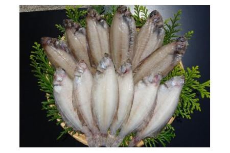 ヤナギガレイ一夜干し 12枚