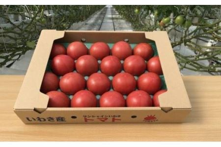 いわき市産大玉トマト「りんか」　4kg（18～28玉）　大容量
