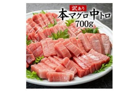 本マグロ訳あり中トロ700g!解凍レシピ付