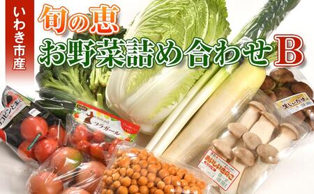 いわき市産 旬の恵お野菜詰め合わせB