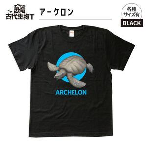 恐竜・古代生物Tシャツ アーケロン サイズXXL(レギュラー)