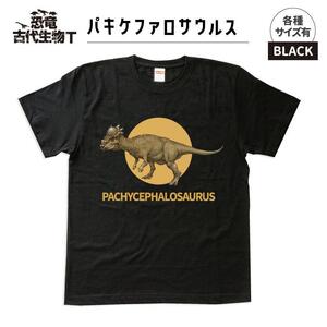 恐竜・古代生物Tシャツ パキケファロサウルス 036 サイズ100(キッズ・ユニセックス)
