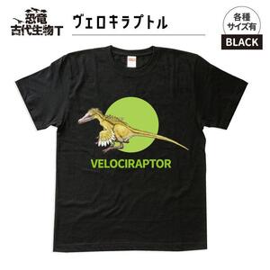 恐竜・古代生物Tシャツ ヴェロキラプトル サイズL(レギュラー)