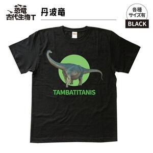 恐竜・古代生物Tシャツ 丹波竜 050 サイズ100(キッズ・ユニセックス)