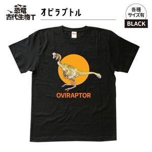 恐竜・古代生物Tシャツ オビラプトル サイズ100(キッズ・ユニセックス)