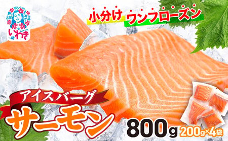 DK006-800g アトランティックサーモン お刺身サーモン使い切りパック オリジナル