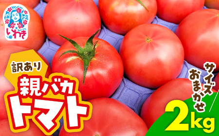 訳あり 親バカ トマト 2kg[SN007-wl-2kg]トマト トマト