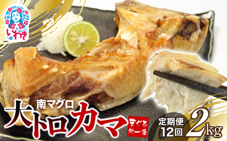 y/v12z}OgJ}2kgiv24kgjyDG016-t12z