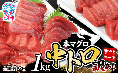 y/v12z{}O󂠂蒆g1kgiv12kgjyDG007-t12z