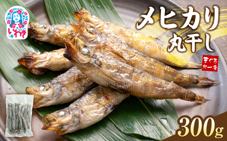 メヒカリ丸干し 300g(300g×1パック) | 脂のり抜群 白身魚 海鮮 干物 おつまみ 焼くだけ簡単 人気 福島県 いわき市 ふるさと納税 | DG029-300g